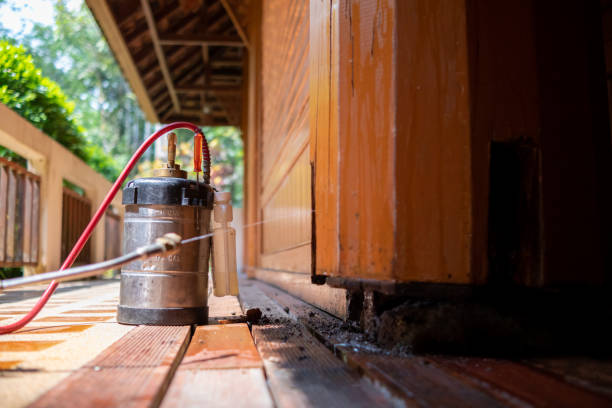 Best Mosquito Control Services  in Agler Estates, FL