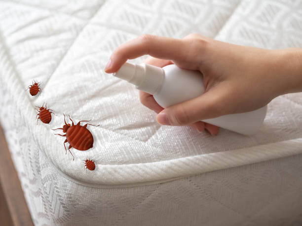 Best Pest Inspection Near Me  in Agler Estates, FL