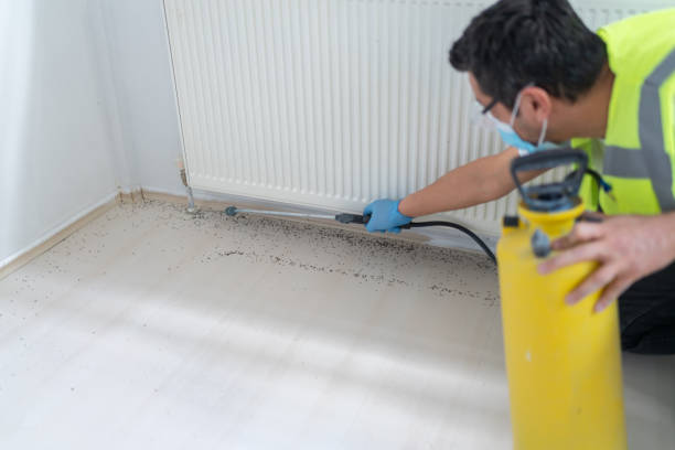 Best Bed Bug Extermination  in Agler Estates, FL